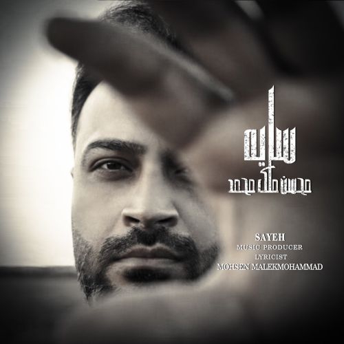 محسن ملک محمد سایه